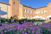Novara, al Castello inaugurata l'edizione 2026 di "Fiorissimo"